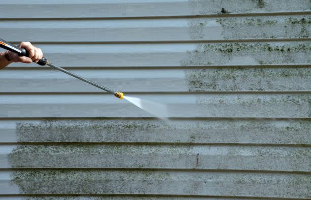 Best Mold Removal and Inspection  in Iron Mountain, MI