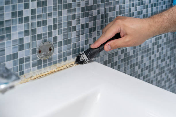 Mold Testing and Removal in Iron Mountain, MI