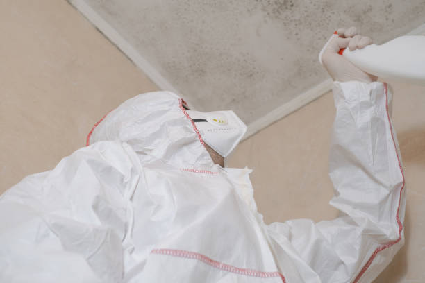 Best Mold Remediation Services  in Iron Mountain, MI